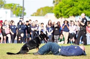 K-9 demonstration